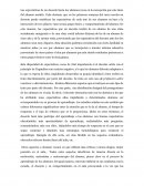 Las expectativas del docente