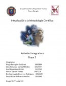 IMC ACTIVIDAD INTEGRADORA ETAPA 2