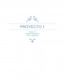 Tomate Perita en Lata de Caroyense