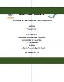 Ley de charles practica