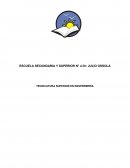 Obesidad infantil en niños de 6 a12 años