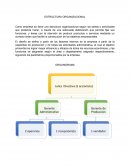 ESTRUCTURA ORGANIZACIONAL. DESCRIPCIÓN DE FUNCIONES