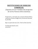 INSTITUCIONES DE DERECHO COMERCIAL (Apuntes de las V bolillas del programa de la Dra Patricia Silvia Sanchez)