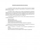 Socialización organizacional dentro de las empresas