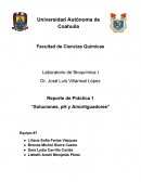 SOLUCIONES, pH Y AMORTIGUADORES