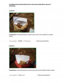 DETERMINACIÓN DE PESOS ESPECÍFICOS DE CADA ESTRATO MEDIANTES TABLAS DE REFERENCIA