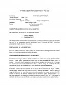 INFORME LABORATORIO DE RAYOS X – FRX-DRX