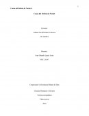 Ensayo psicoanalisis. Causa del Delirio de Norbet