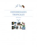 Enfermedades tropicales