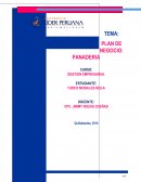 PLAN DE NEGOCIO: PANADERIA