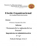 Informe “Pertenencia De La Aplicación De Los Procesos”