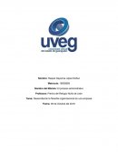 Desarrollando la filosofia organzacional de una empresa