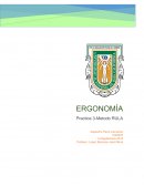 Hombre Análisis extremidad superior brazo