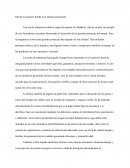 Red de Transporte Solida Con Destino-Desarrollo