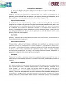 CASO PRÁCTICO: WATERFALLS