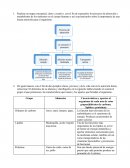 Mapa conceptual procesos de absorción y metabolismo de los nutrientes en el cuerpo humano