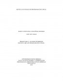 Articulo en ingles de aplicación lineal a las empresas