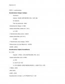 Ejericio 13 Fiscalidad