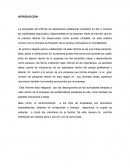 Informe de experiencia profesional