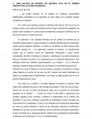 Alegatos audiencia constitucional