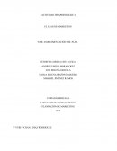 Plan de Marketing para la empresa Allendale