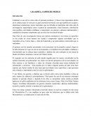 CALAKMUL, CAMPECHE MEXICO