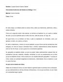 Ensayo "Cultura China"