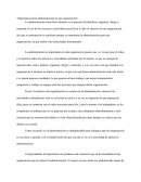 Importancia de la administración en una organización