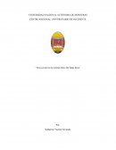 Ocio juvenil en la colonia Altos de Santa Rosa