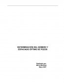 DETERMINACIÓN DEL NÚMERO Y ESPACIADO ÓPTIMO DE POZOS