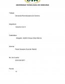 Demanda de Reivindicatoria de Dominio