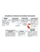 RESUMEN DEL PROCESO DE DIVORCIO INCAUSADO