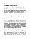 Comisión mixta de higiene y seguridad industrial