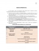 Deporte de invierno “snowboarding”