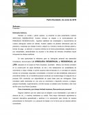 FORMATO DE CARTA OFERTA