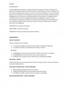 INFORME PLANTA MAKITEX