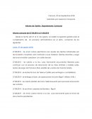 Informe de Gestión Departamento Comercial