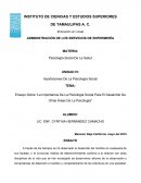 La Importancia De La Psicología Social Para El Desarrollo De Otras Áreas De La Psicología