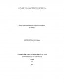 ANÁLISIS Y DIAGNÓSTICO ORGANIZACIONAL.Factores Ambientales