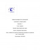 Análisis de la película (Campeones) inspirada en la selección sub 17 del año 2005