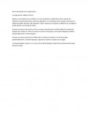 8 principios de la calidad. La organización: Mapsi SA de CV