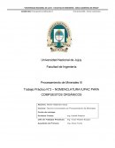 Trabajo Práctico N°2 – NOMENCLATURA IUPAC PARA COMPUESTOS ORGÁNICOS