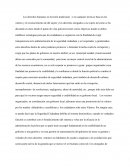 Ensayo derechos humanos. Seguridad Ciudadana