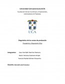 Diagnóstico de los costos de producción