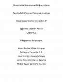 Seguridad en Voz sobre IP