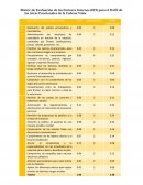 Matriz factores internos