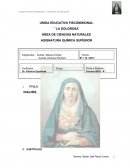 Quimica. DIALISIS