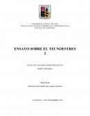 Ensayo del tecnoestres
