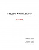 Lineamientos de Análisis caso Shouldice Hospital