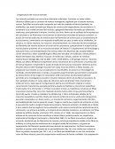 Organización del músculo estriado